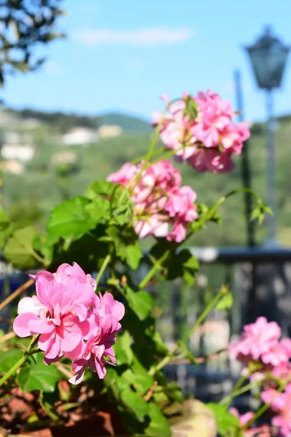 Villa Il Respiro Zoagli Bed & Breakfast